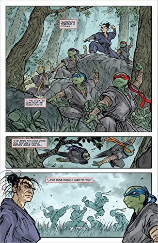 Teenage Mutant Ninja Turtles: Reborn, Vol. 6 - Game Changers (TMNT Reborn)