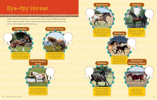 Horse Play!: 25 Crafts, Party Ideas & Activities for Horse-Crazy Kids