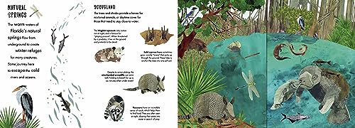 Habitats: A Journey in Nature