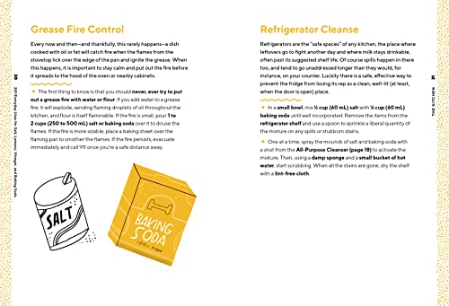201 Everyday Uses for Salt, Lemons, Vinegar, and Baking Soda: Natural, Affordable, and Sustainable Solutions for the Home