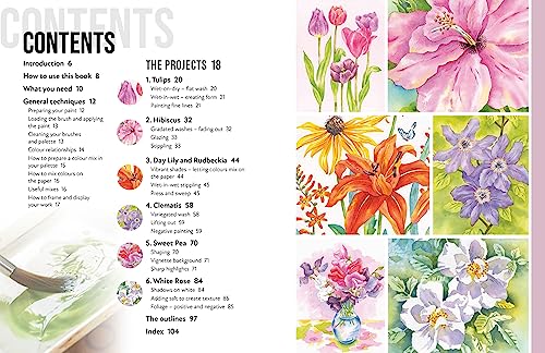 Anyone Can Paint Watercolour Flowers: 6 easy step-by-step projects to get you started