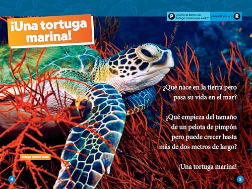 National Geographic Readers: Las Tortugas Marinas (L2) (Spanish Edition)