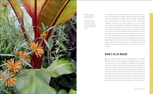 Fearless Gardening: Be Bold, Break the Rules, and Grow What You Love