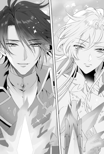 The Evil Queen's Beautiful Principles (Light Novel) Vol. 1