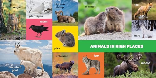 My First 100 Pacific Northwest Animals