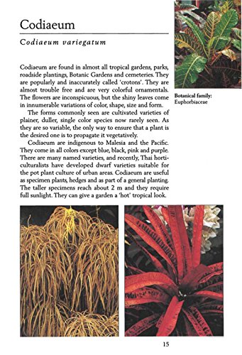 Handy Pocket Guide to Tropical Plants (Handy Pocket Guides)