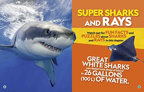 National Geographic Kids Puzzle Book of the Ocean (NGK Puzzle Books)
