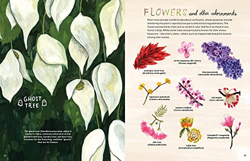 Trees: An Illustrated Celebration