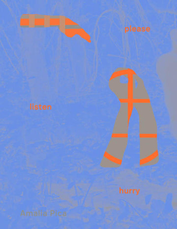 Please Listen Hurry Others Speak Better (Sternberg Press)
