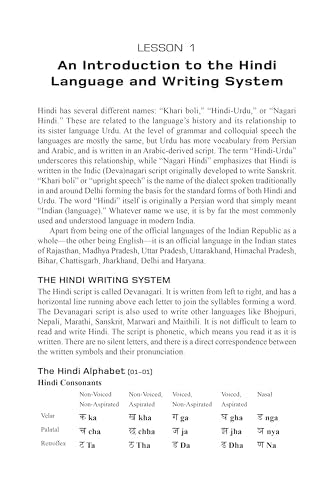 Learning Hindi: Speak, Read and Write Hindi with Manga Comics! A Language Guide for Self-Study (Free Online Audio & Flash Cards)