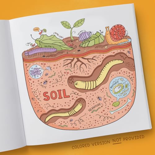 What's Inside a Garden?: Science and Nature Coloring Book: 40 Drawings to Color