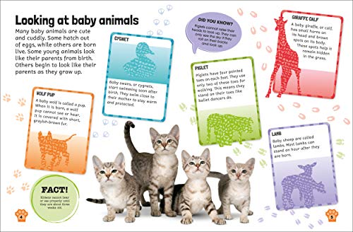 Sticker Encyclopedia Baby Animals: More Than 600 Stickers (Sticker Encyclopedias)