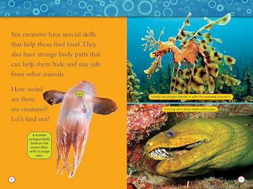 Superstars of the Sea Collection (National Geographic Kids Readers, Level 2)