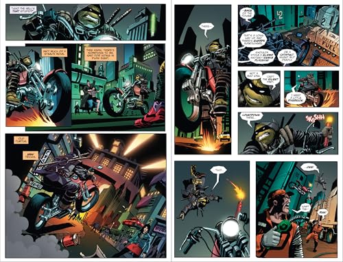 Teenage Mutant Ninja Turtles: The Last Ronin Director's Cut