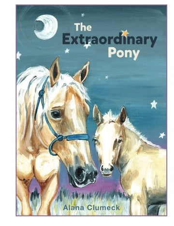 The Extraordinary Pony