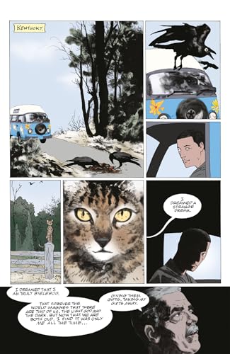American Gods Volume 3: The Moment of the Storm (Graphic Novel)