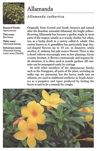 Handy Pocket Guide to Tropical Flowers (Handy Pocket Guides)