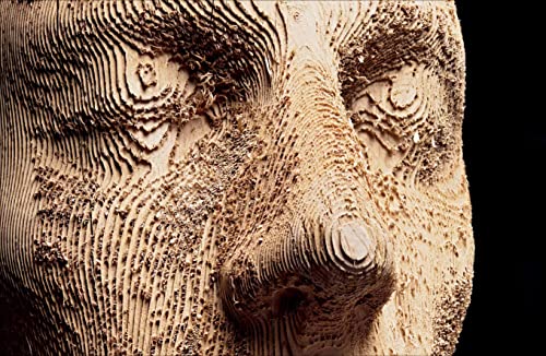 Aron Demetz: Autark - Autarchic - Autarchia