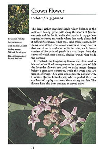 Handy Pocket Guide to Tropical Flowers (Handy Pocket Guides)