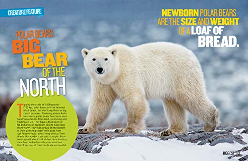 National Geographic Kids Extreme Records (NGK Records)