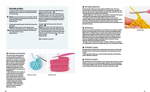Beginner's Guide to Crochet, The: Easy techniques and 8 fun projects