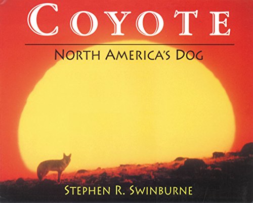 Coyote: North America's Dog