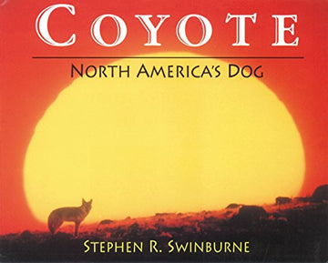 Coyote: North America's Dog