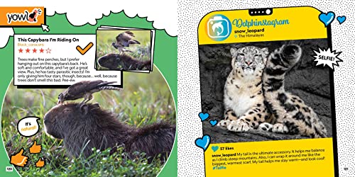 Critter Chat: What If Animals Used Social Media?