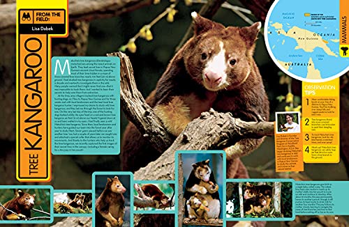 National Geographic Kids Animal Encyclopedia, 2nd Edition: 2,500 Animals with Photos, Maps, and More! (NGK Encyclopedias)