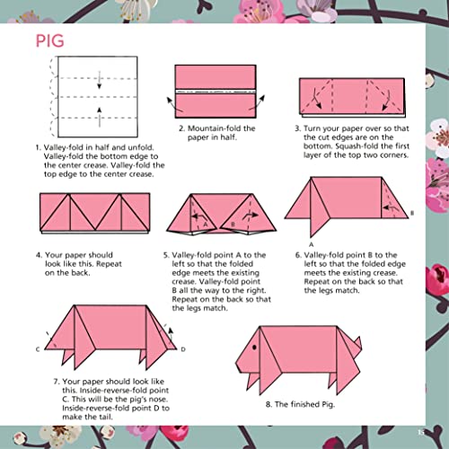 Origami Cherry Blossoms Paper Pack Book: 256 Double-Sided Folding Sheets with 16 Different Cherry Blossom Patterns with solid colors on the back (Includes Instructions for 8 Models)