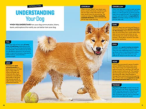 Fetch! A How to Speak Dog Training Guide (NGK How to Speak Animal)