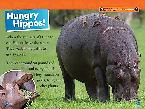 Hippos (National Geographic Kids Readers, Level 1)