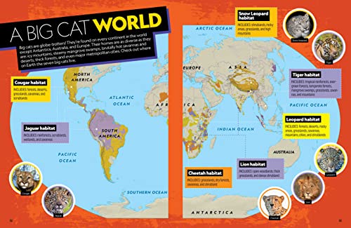 The Ultimate Book of Big Cats: Your guide to the secret lives of these fierce, fabulous felines (National Geographic Kids Ultimate Books)