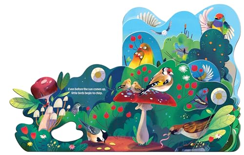 Birdsong (Layered View)