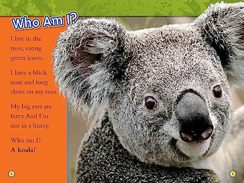 Animal All-Stars Collection (National Geographic Kids Readers, Level 1)