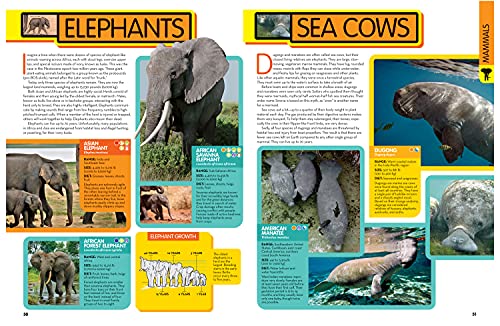National Geographic Kids Animal Encyclopedia, 2nd Edition: 2,500 Animals with Photos, Maps, and More! (NGK Encyclopedias)