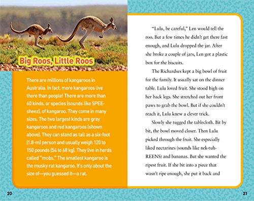 National Geographic Kids Chapters: Kangaroo to the Rescue!: And More True Stories of Amazing Animal Heroes (NGK Chapters)