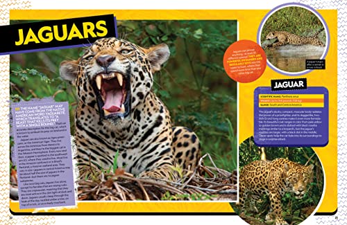 The Ultimate Book of Big Cats: Your guide to the secret lives of these fierce, fabulous felines (National Geographic Kids Ultimate Books)