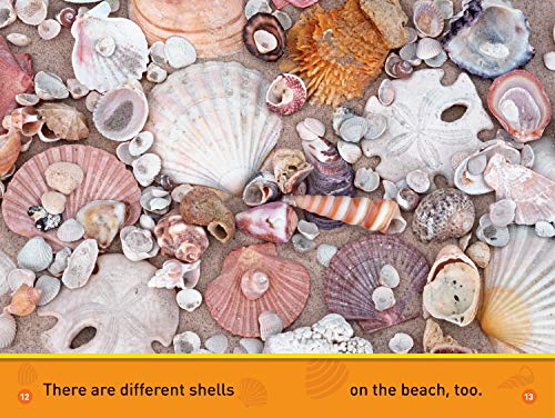 At the Beach (National Geographic Kids Readers, Pre-Reader)