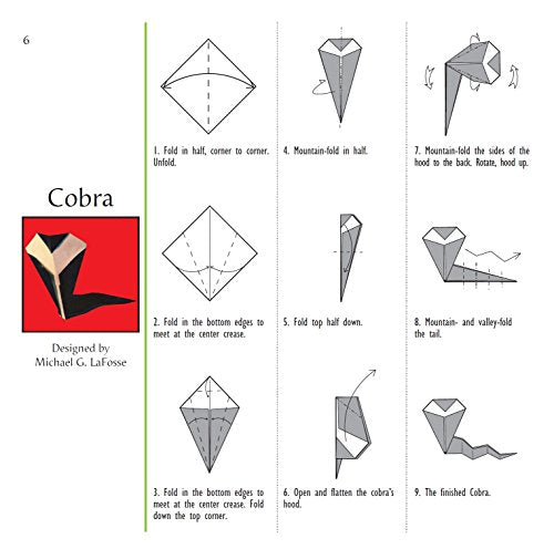 Origami Jungle Kit: Create Exciting Paper Models of Exotic Animals and Tropical Plants: Kit with 2 Origami Books, 42 Projects and 98 Origami Papers