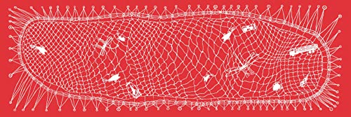 João by a Thread (João by a Thread)