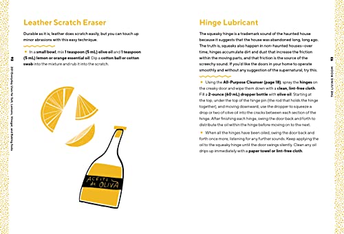 201 Everyday Uses for Salt, Lemons, Vinegar, and Baking Soda: Natural, Affordable, and Sustainable Solutions for the Home