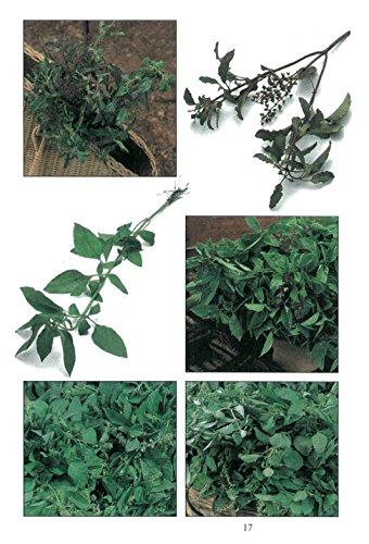 Handy Pocket Guide to Tropical Herbs & Spices: Clear Identification Photos and Explanatory Text for the 35 Most Common Herbs & Spices found in Thailand (Handy Pocket Guides)