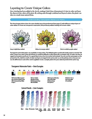 A Step-by-Step Guide to Botanical Drawing & Painting: Create Realistic Pencil and Watercolor Illustrations of Flowers, Fruits, Plants and More! (With Over 800 illustrations)