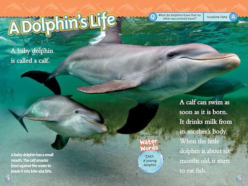 Superstars of the Sea Collection (National Geographic Kids Readers, Level 2)