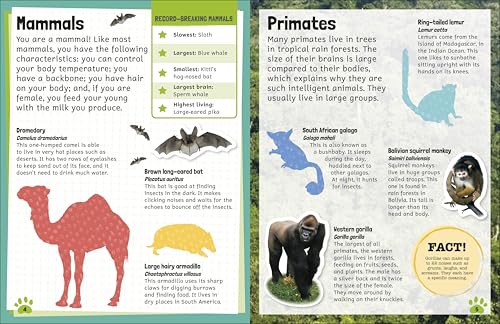 Sticker Encyclopedia Animals
