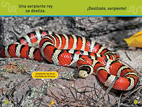 National Geographic Readers: ¡Deslízate, Serpiente! (Pre-reader)-Spanish Edition