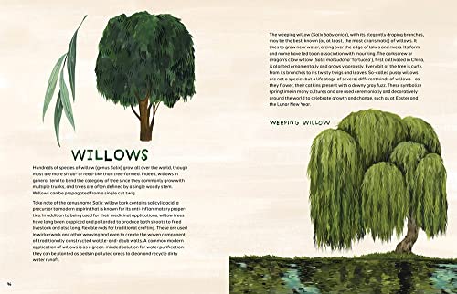 Trees: An Illustrated Celebration