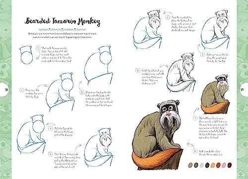 10 Step Drawing: Cute Animals: 'Draw over 50 adorable animals in 10 easy steps