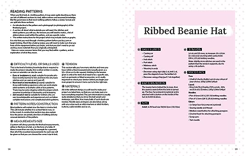 Beginner's Guide to Knitting, The: Easy techniques and 8 fun projects